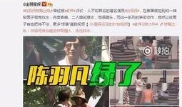 张颖爆料出轨视频大全集,揭秘不为人知的情感纠葛